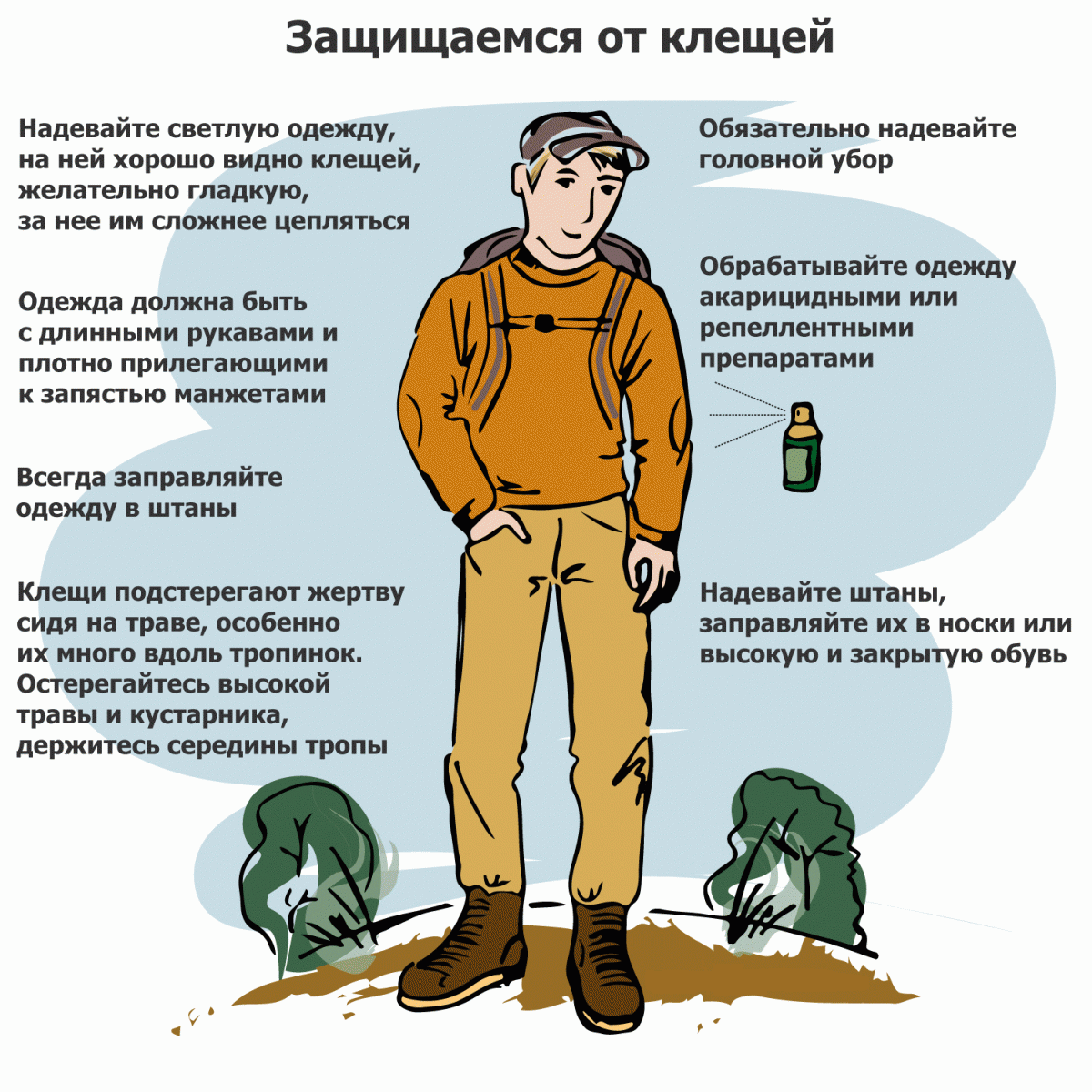 Методы защиты от клещей, цены, Россия